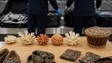 Guardia di Finanza e Dogane: maxi sequestro all'aeroporto di Verona di coralli e pelli protette